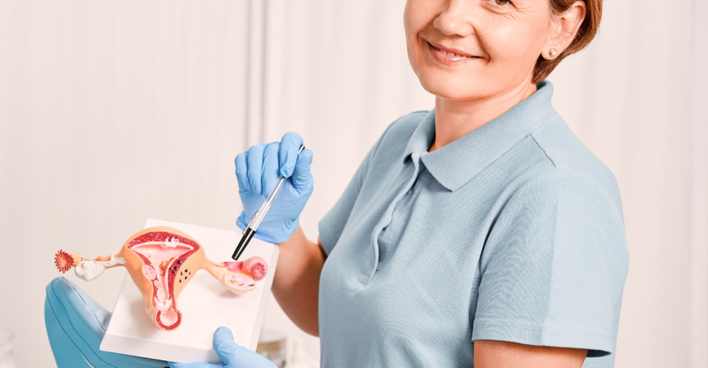 Прием гинеколога и УЗИ со скидкой